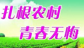 大學(xué)生村官選調(diào)生是公務(wù)員嗎？村官選調(diào)生和選調(diào)生什么區(qū)別？有編制嗎？