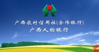 廣西農(nóng)村信用社理事長(zhǎng)韋家干、主任李燕、唐誠(chéng)希、歐澤馨等領(lǐng)導(dǎo)班子