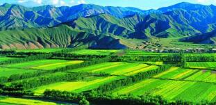 廣西農(nóng)村投資集團待遇怎么樣？廣西農(nóng)業(yè)信貸擔保公司工資多少？中層如何？