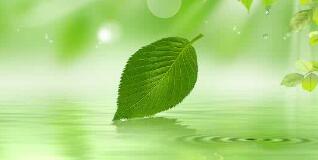 南寧八菱科技怎么樣？待遇怎樣，為什么被譴責(zé)？年產(chǎn)多少錢(qián)？