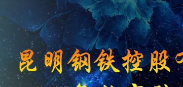 昆鋼集團(tuán)王素琳簡(jiǎn)歷，馬德、陳清泉、王存璘、蘇玲翠、王云萍、錢永祥、孫小躍、官德海、高冰、杜陸軍、趙永平領(lǐng)導(dǎo)班子