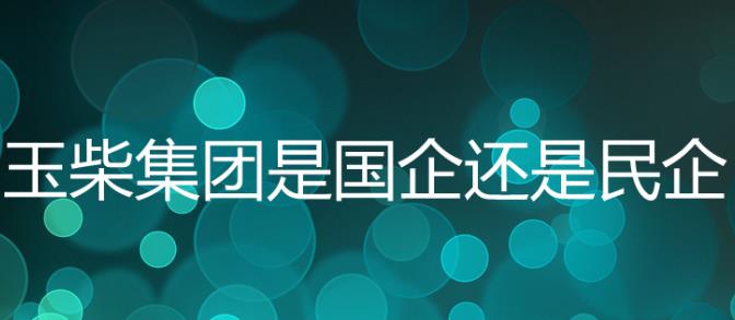 玉柴集團是國企嗎？玉柴集團是五百強嗎？
